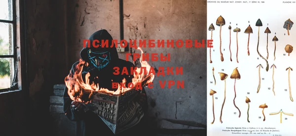 а пвп мука Баксан